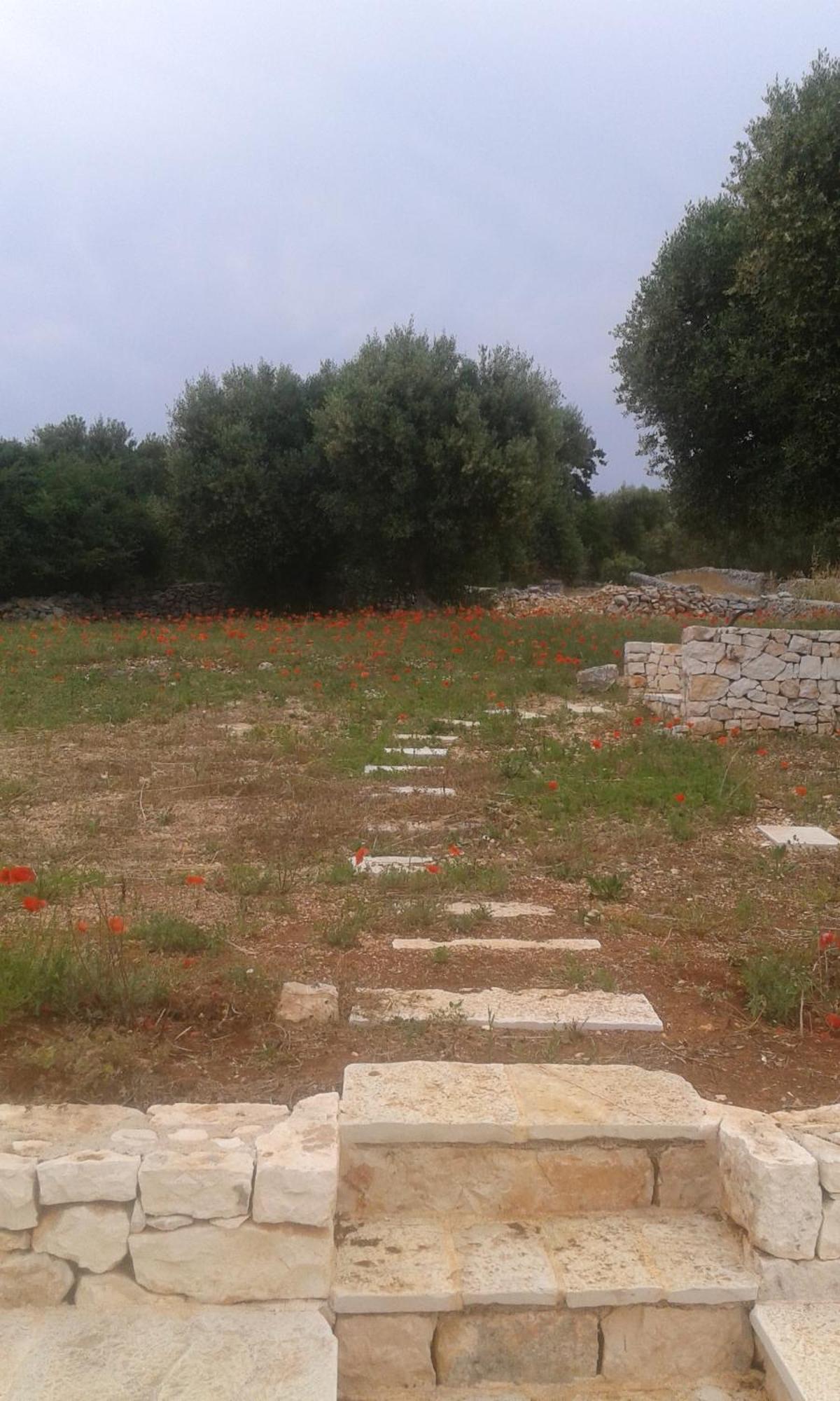 Trullo Alto Salento Cisternino Exterior foto