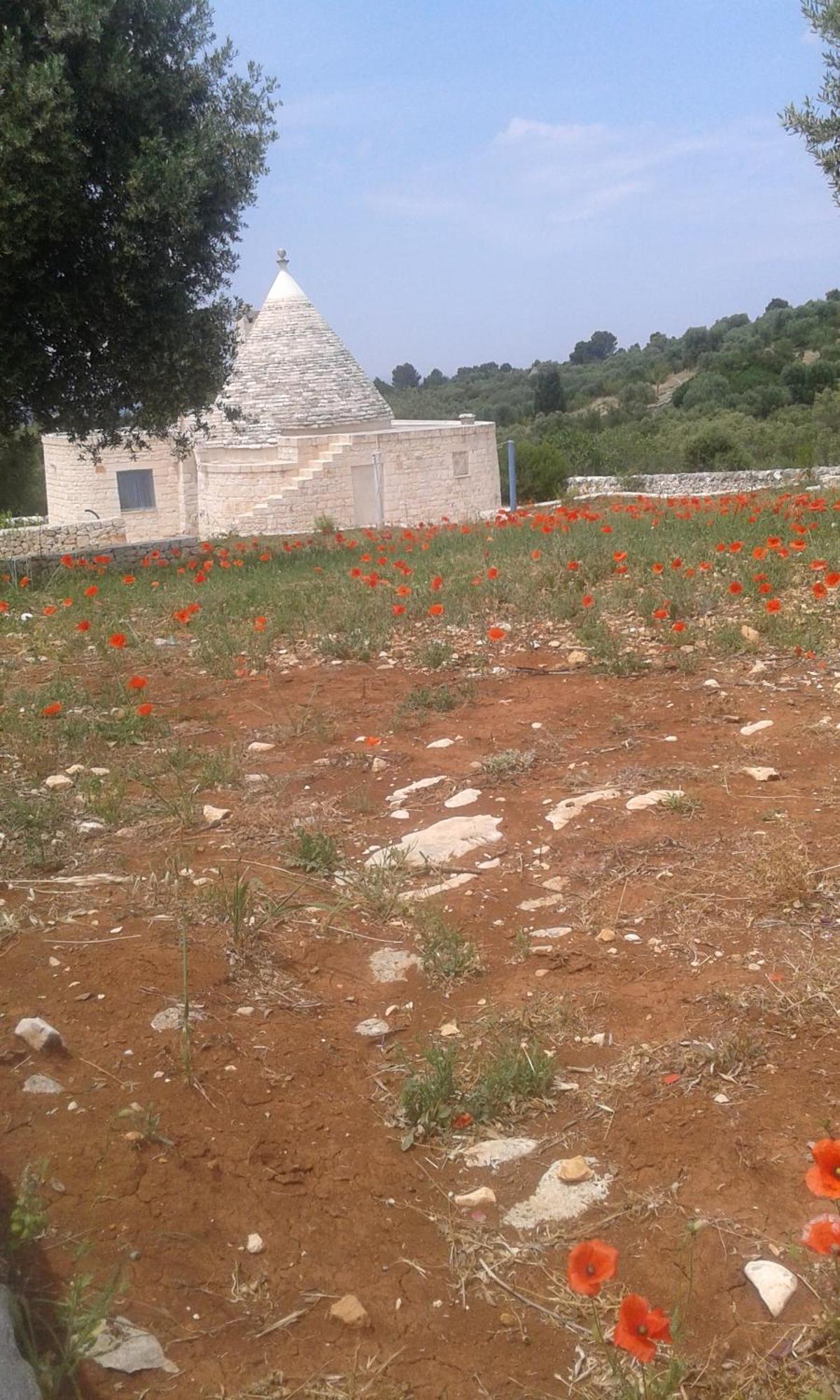 Trullo Alto Salento Cisternino Exterior foto