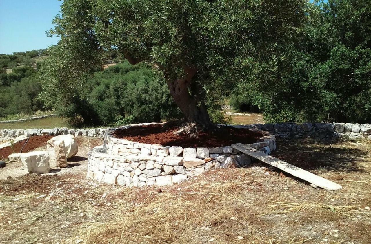Trullo Alto Salento Cisternino Exterior foto